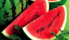 西藏网红视频500部吃瓜,500部视频带你尝遍特色瓜果